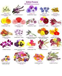 23 Recipes That Will Feed Your Inner Flower Child In 2020 Edible Flowers Edible Flowers Recipes Eatable Flowers