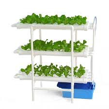 This item weplant hydroponics nft system with 108 holes kits,vertical hydroponics pvc pipe plant vegetable. Hydroponics Nft System With 108 Holes Kits Vertical Hydroponic Growing Systems Pvc Tube Lazada Ph