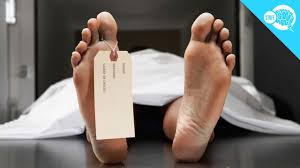 When i ask why, the answer is usually along the lines. How Is Autopsy Performed