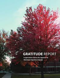 Augustana Gratitude Report 2014 by Augustana University