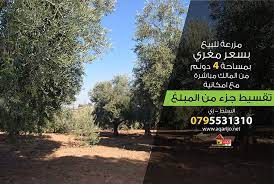 مزرعة للبيع بسعر مغري جدا من المالك مباشرة بدون عمولة امكانية تقسيط جزء من الثمن للتواصل 0795531310 الموقع السل highway signs country roads highway