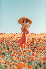 Maybe you would like to learn more about one of these? Dreamy Peach Flower Fields Flower Photoshoot Photoshoot Outdoor Photoshoot