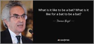 What Is It Like To Be A Bat What Is It Like For A Bat To Be A Bat Thomas Nagel Thomas Nagel Quotes What Is Like
