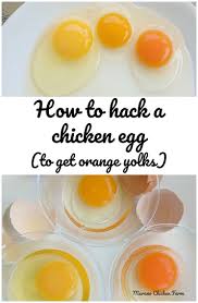 How To Hack A Chicken Egg To Get Orange Yolks Murano