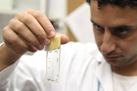 Zika has pregnant women in the U.S. worried, and doctors have few answers