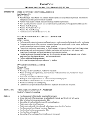 inventory auditor resume samples