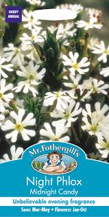 Phlox is an american native flowering perennial. Mr Fothergill S Seeds Ltd 16240 Flower Seeds Night Phlox Midnight Candy White Buy Online In Angola At Angola Desertcart Com Productid 65466577