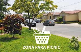 Domingos de picnic - La Colmena