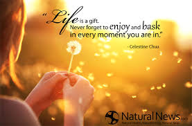 Life Is A Gift Quotes Quotesgram