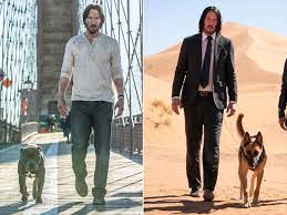 Movie • 2019 • action report. Did John Wick S Dog Die Again Seen With German Shepherd For New Film People Com