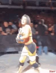 Championship Belt Gifs Tenor