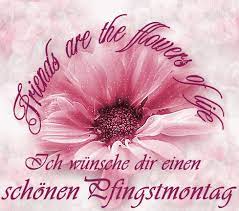 Mai 2021 in der welt. Pfingsten Pfingstgrusse Facebook Pics Gb Bilder 14225 Whatsapp Bilder