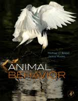 Animal Behavior Sciencedirect