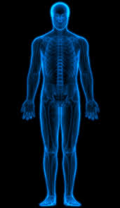 Check spelling or type a new query. Adam Vital Hospital