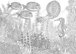 You can print the coloring page as many times as you like. Adult Coloring Pages Fish