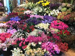 Check spelling or type a new query. Fleur Royale Flowered By Peter Boeijkens Local Business Facebook