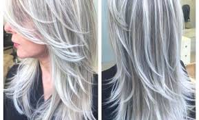 28 Albums Of Ash Gray Hair Color Chart Explore Thousands