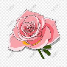 Maybe you would like to learn more about one of these? Hari Valentine Yang Hancur 520 Hadiah Bunga Mawar Png Grafik Gambar Unduh Gratis Lovepik