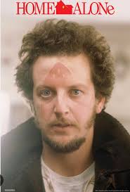 What is the name of the cat in the photo?