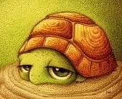 Take it as a theme where one proposes other with a red rose and make some hearts on their dresses and in the air as well. Cute Big Eyed Turtle Art Animal Drawings Cute Drawings Turtle Drawing