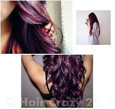 Burgundy Plum Hair Dye Forums Haircrazy Com