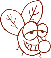 Mark off the width and height of the picture. How To Draw A Cartoon Fly With Simple Shapes How To Draw Step By Step Drawing Tutorials