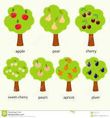 Trees Stock Vector Illustration Of Picture Chart Plum