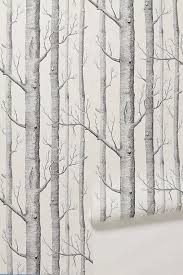 Black And White Birch Tree Wallpaper 10 Excellent Sources For Buying Birch Tree Wallpaper Birch Tree Wallpaper Birches Wallpaper Tree Wallpaper