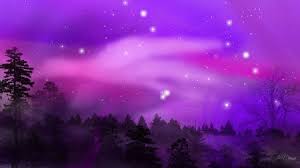 Purple Aurora Borealis Google Search Northern Lights Wallpaper Aurora Borealis Northern Lights Wallpaper Pictures Trova immagini stock hd a tema sfondo aurora boreale nel parco nazionale e milioni di altre foto, illustrazioni e contenuti vettoriali stock royalty free nella vasta raccolta di shutterstock. purple aurora borealis google search