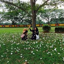 Politeknik sultan idris shah is a polytechnic in selangor. Fotos En Library Politeknik Sultan Idris Shah Sabak Bernam Selangor