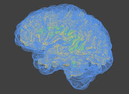 Human Brain 3d Scan Model Human Brain Brain Art Pet Ct