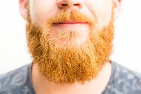Shea butter is high in vitamins a, e, and f and when added to your beard balm recipe helps to eliminate beard dandruff and itchiness. Crafting Your Own Unique Beard Balm Lovin Soap Studio