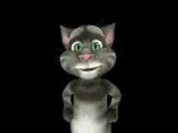 Il Gatto Buonanotte Youtube Gatos Talking Tom Cat Talk