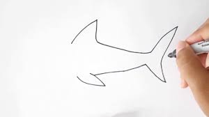 ¡tome un papel y un lápiz y comencemos a dibujar! Como Dibujar Un Tiburon Dibujo De Tiburon Paso A Paso Youtube
