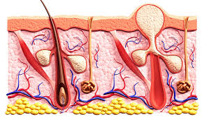 The skin around your boil will be slightly red and tender, and the skin around the boil will. Boils Healthdirect