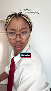 Judgemental Hadedas in South Africa