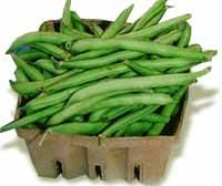 These dried pinto beans in the 20 lb carton have worked well for us. Green Bean Wikipedia