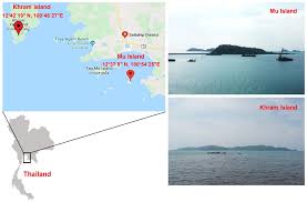 Eu and all its member countries submitted a paper on digital vessel route exchange plans that is intended to increase safety, reduce administrative burden and more efficient operations, and combine with reduced environmental impact. Microorganisms Free Full Text Assessment Of Diversity Of Culturable Marine Yeasts Associated With Corals And Zoanthids In The Gulf Of Thailand South China Sea Html