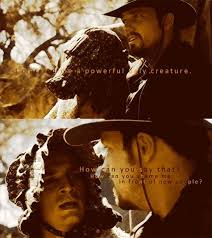 Pin By Sydney Robinson On Geekery Firefly Serenity Nerd Love Whedonverse