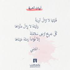 و ليته لا يزال مأواها للمتنبي عالم الأدب Words Quotes Quotations Funny Quotes