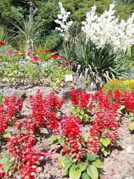 At The Botanical Garden