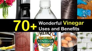 Wiserworld (author) on july 29, 2018: 70 Wonderful Uses Of White Vinegar