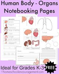 Free Human Body Organs Notebooking Pages For Grades K 3 Free Human Body Human Body Organs Human Body Unit Study
