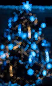 500 Stunning Bokeh Pictures Hd Download Free Images Stock Photos On Unsplash Blurry shaky shot of people 4k stock video. 500 stunning bokeh pictures hd