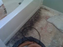 It is important to note the height of the toilet flange after installing the plywood to. Black Mold On Plywood Subfloor Diy Home Improvement Forum