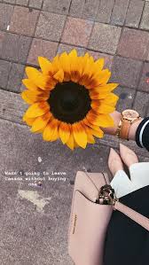 Nivea extra white radiant&smooth cream. 150 Yellow Blue Ideas Yellow Yellow Aesthetic Sunflower Wallpaper
