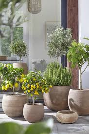 Mediterrane Bepflanzung C Dehner Outdoor Gardens Design Backyard Landscaping Designs Backyard Garden Design