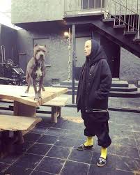 O And Pitbull Terier Die Antwoord Yolandi Visser Mood Board Fashion