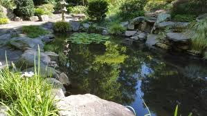 You Ll Love This One Awesome Activity In North Carolina And It Won T Cost You A Cent Botanical Gardens Garden Site Beautiful Gardens
