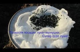 юлия миняева во саду ли в огороде новое 2019 Vo Sadu Li V Ogorode Video S Yuliej Minaevoj Vse Serii 12 Tys Video Najdeno V Yandeks Video Ogorod Ogorodnichestvo Vyrashivanie Luka